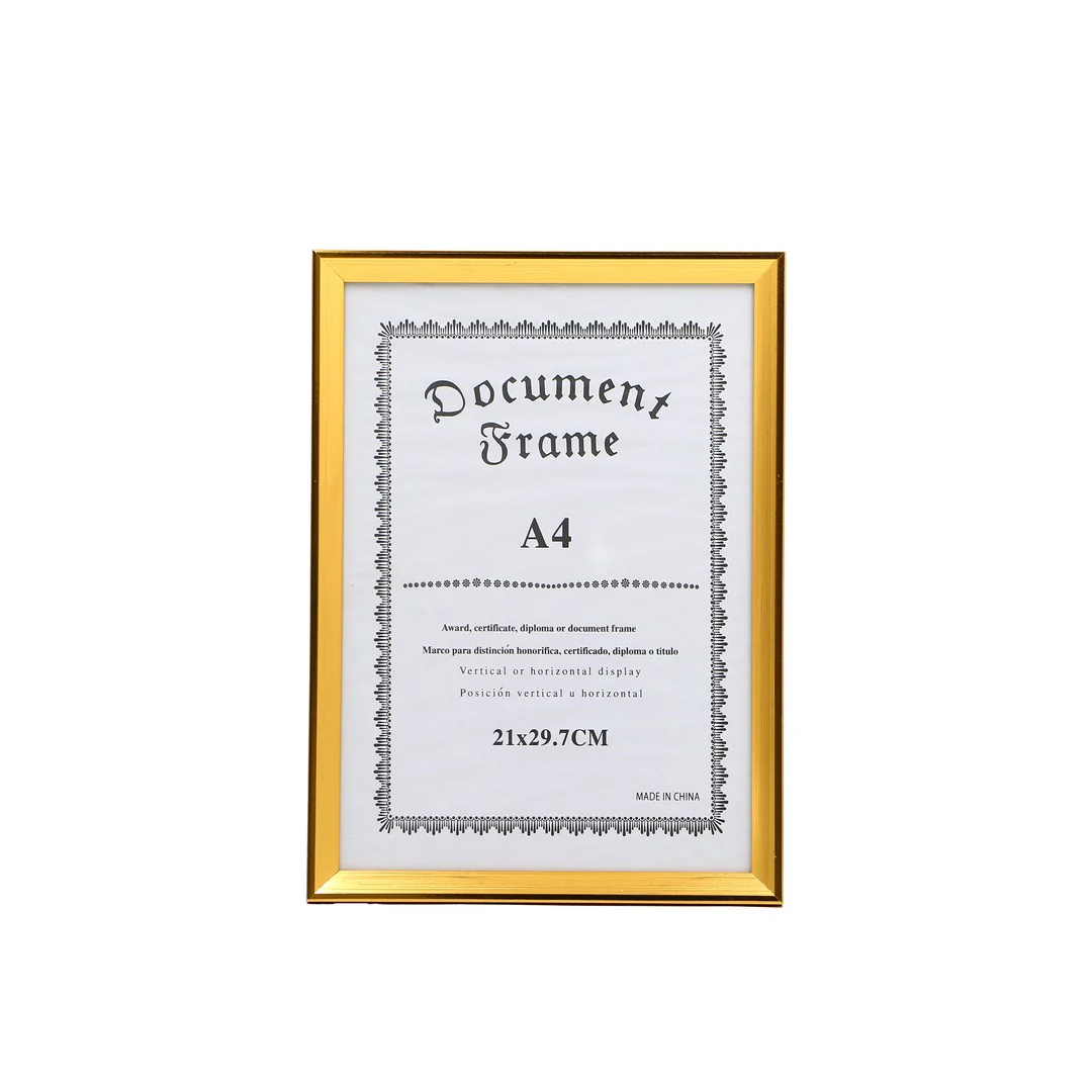 Gold Document Photo Frame By Stories - Image 3